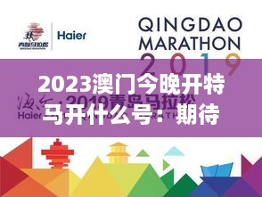 2023澳门今晚开特马开什么号：期待与兴奋交织的澳门特马盛事