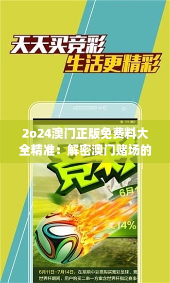 2o24澳门正版免费料大全精准：解密澳门赌场的终极指南