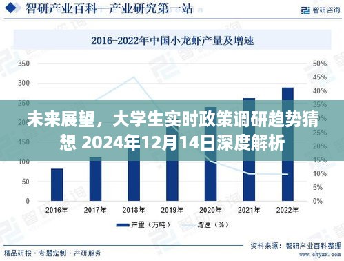 大学生实时政策调研趋势猜想，深度解析未来展望 2024年展望报告