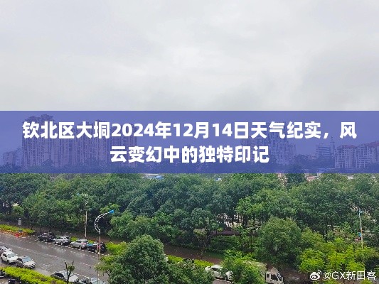 钦北区大垌风云变幻，2024年12月14日天气纪实