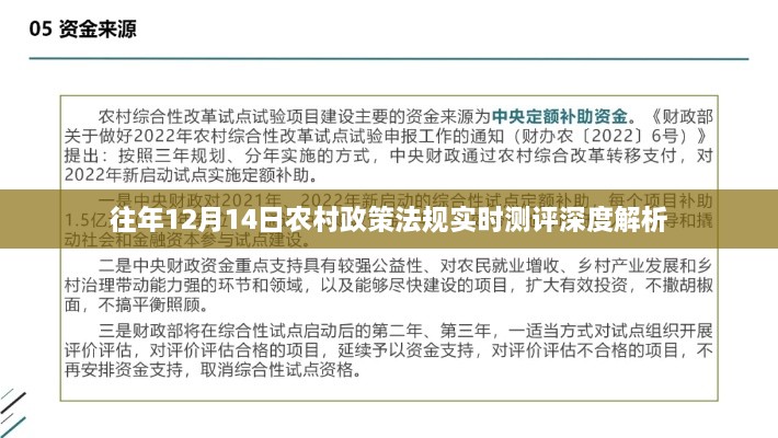 农村政策法规实时测评深度解析报告，历年12月14日分析总结与展望