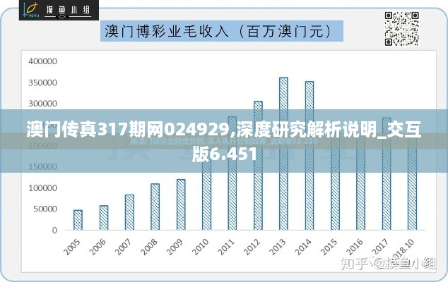 澳门传真317期网024929,深度研究解析说明_交互版6.451