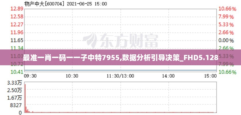 最准一肖一码一一子中特7955,数据分析引导决策_FHD5.128