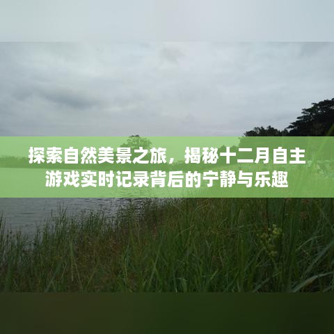 揭秘自然美景背后的宁静与乐趣，十二月自主游戏实时记录之旅