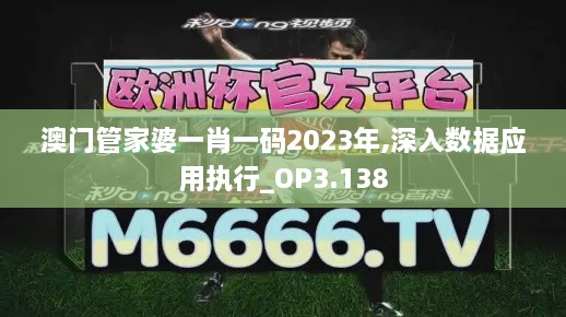 澳门管家婆一肖一码2023年,深入数据应用执行_OP3.138