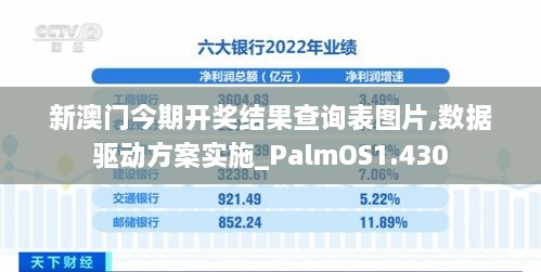 新澳门今期开奖结果查询表图片,数据驱动方案实施_PalmOS1.430