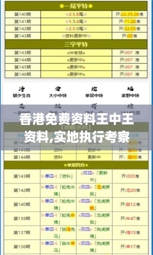 香港免费资料王中王资料,实地执行考察设计_限量版6.166