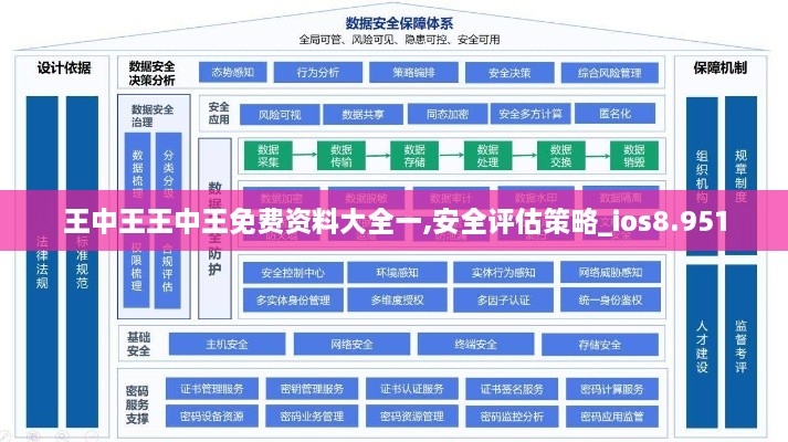 王中王王中王免费资料大全一,安全评估策略_ios8.951