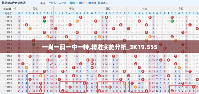 2024年12月17日 第20页