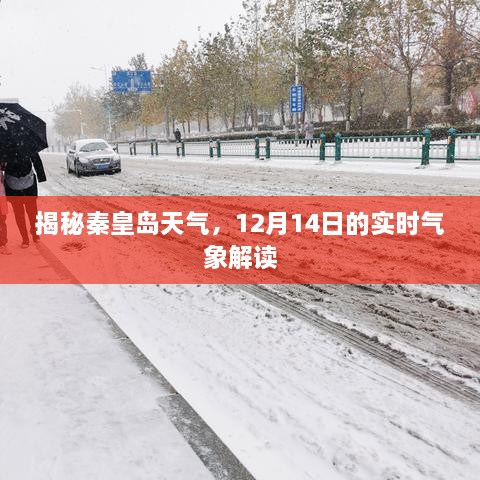 秦皇岛天气揭秘，12月14日实时气象解读