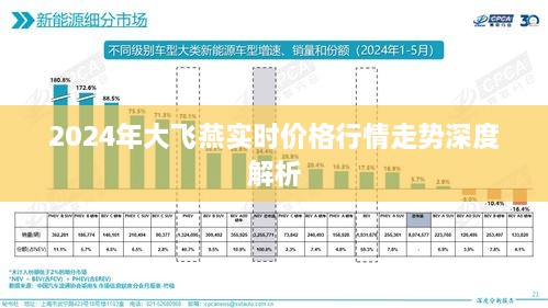 2024年大飞燕实时价格行情走势全面解析报告