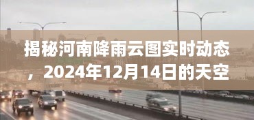 河南降雨云图揭秘，2024年12月14日的天空动态画卷探索