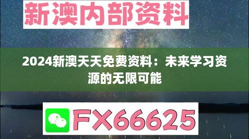 2024年12月17日 第12页