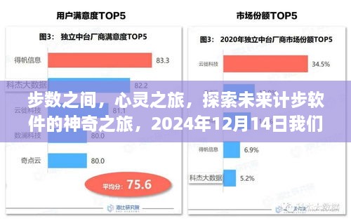 步数间的神奇之旅，心灵探索与未来计步软件展望，2024年12月14日相约不见不散！