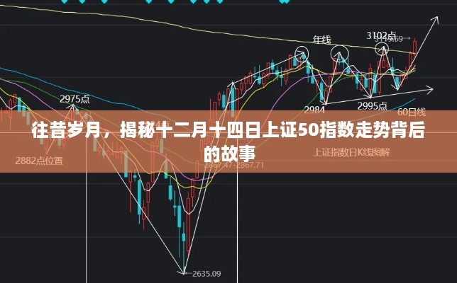 揭秘十二月十四日上证50指数走势背后的故事与往昔岁月的影响