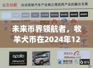 牧羊犬币数字化转型之旅，未来币界的领航者（2024年12月14日）