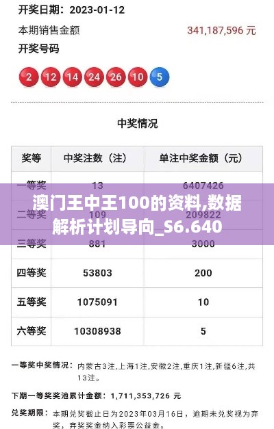 澳门王中王100的资料,数据解析计划导向_S6.640