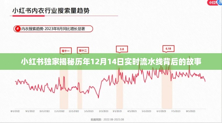 小红书揭秘，历年12月14日流水线背后的故事全解析