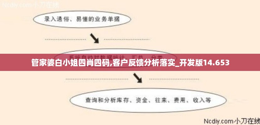 管家婆白小姐四肖四码,客户反馈分析落实_开发版14.653