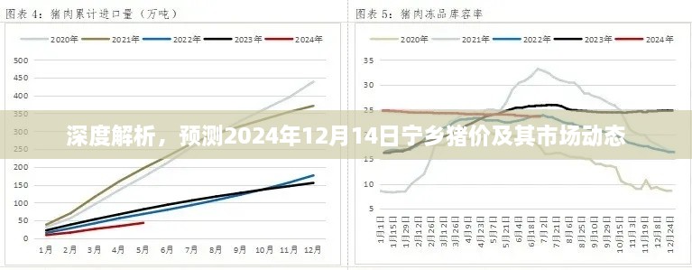 宁乡猪价深度解析及市场趋势预测，2024年12月14日市场分析