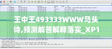 王中王493333WWW马头诗,预测解答解释落实_XP16.704