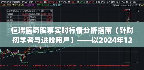 恒瑞医药股票实时行情分析指南，初学者与进阶用户必备指南（2024年1月行情分析）