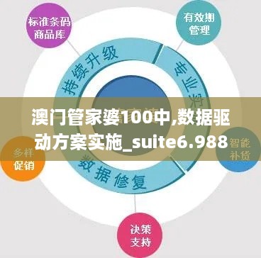 澳门管家婆100中,数据驱动方案实施_suite6.988