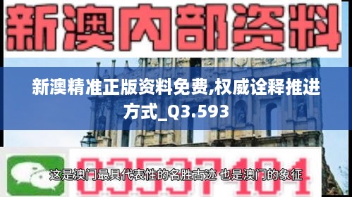 新澳精准正版资料免费,权威诠释推进方式_Q3.593