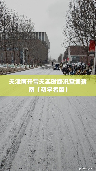 天津南开雪天实时路况查询指南（初学者操作指南）