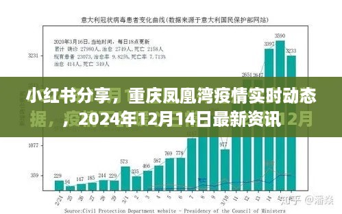 小红书分享，重庆凤凰湾疫情实时动态报告（最新资讯，2024年12月14日）