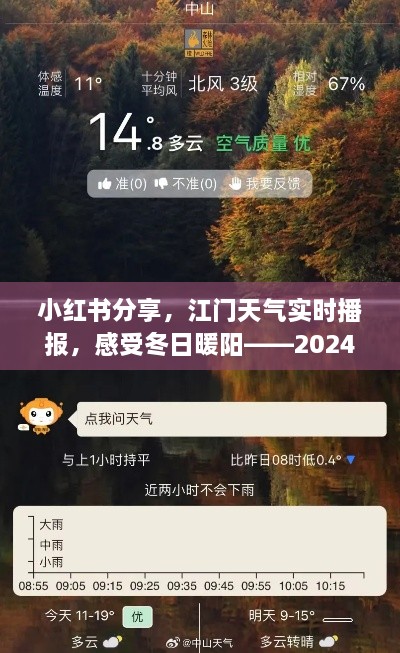 小红书分享，江门冬日暖阳实时播报，2024年12月14日温度记录