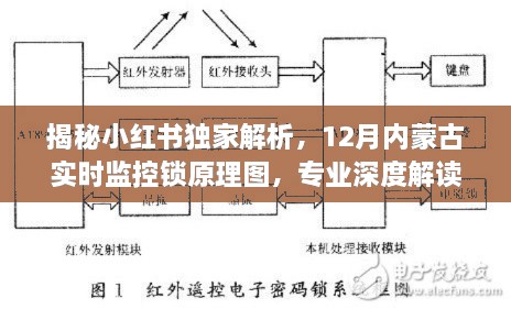 2024年12月19日 第33页