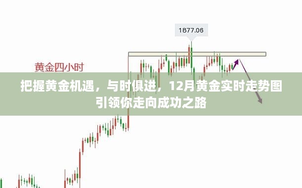 黄金机遇引领成功之路，12月黄金实时走势图分析助你与时俱进