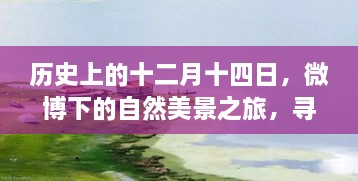 十二月十四日微博下的自然之旅，寻找内心的宁静与平和