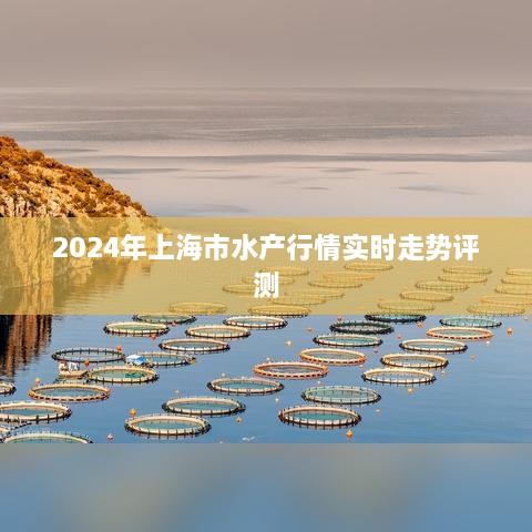 2024年上海市水产行情深度解析与实时走势评测