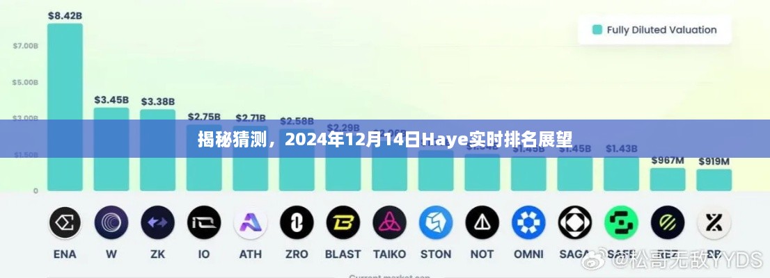 揭秘，Haye在2024年实时排名展望展望（预测日期，2024年12月14日）