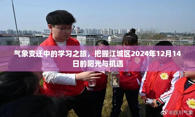 气象变迁中的学习之旅，江城区阳光机遇展望——2024年12月14日