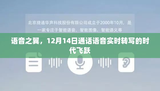 2024年12月19日 第14页