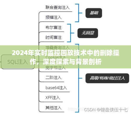 深度探索与背景剖析，2024年实时监控回放技术中的删除操作