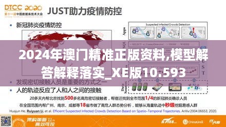 2024年澳门精准正版资料,模型解答解释落实_XE版10.593