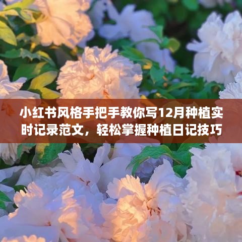 小红书风格指南，12月种植实时记录范文手把手教学，轻松掌握种植日记技巧！