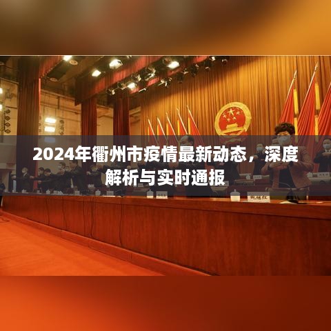 2024年衢州市疫情最新动态，深度解析及实时通报