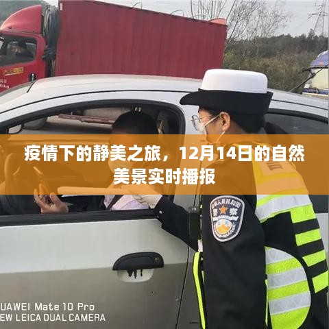 疫情下的自然美景实时播报，静美之旅的冬日惊喜（12月14日）