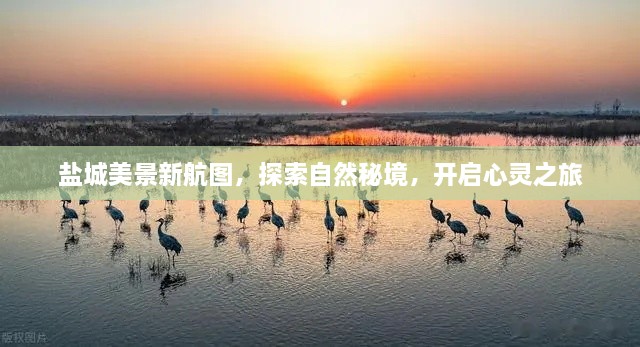 盐城美景新航图，探索自然秘境，心灵之旅启程