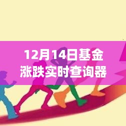 12月14日基金涨跌实时查询器，掌握市场脉动，轻松投资下载