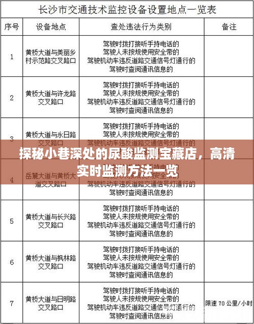 探秘小巷深处的尿酸监测宝藏店，高清实时监测方法与独家秘籍揭秘