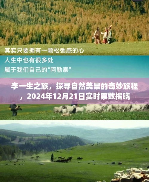 李一生之旅，探寻自然美景的奇妙旅程——实时票数揭晓日，启程在即