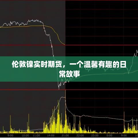 伦敦镍实时期货，日常交易的温馨之旅