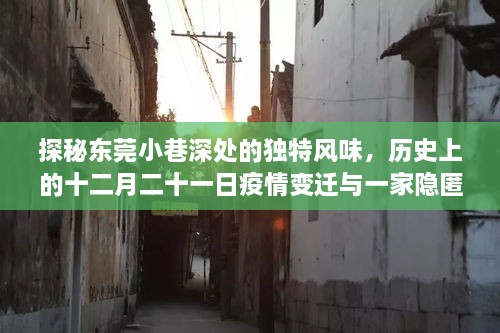 东莞小巷美食探秘，疫情变迁下的美食小店魅力时光与十二月二十一日的历史印记