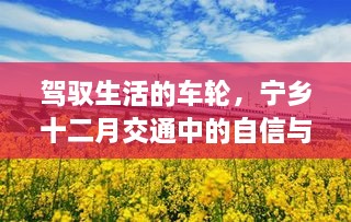 宁乡十二月交通之旅，自信驾驭，成长随行